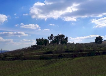 Rustico Appignano del Tronto - foto 4