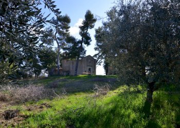 Rustico Appignano del Tronto - foto 8