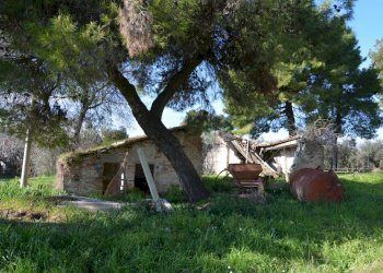 Rustico Appignano del Tronto - foto 30