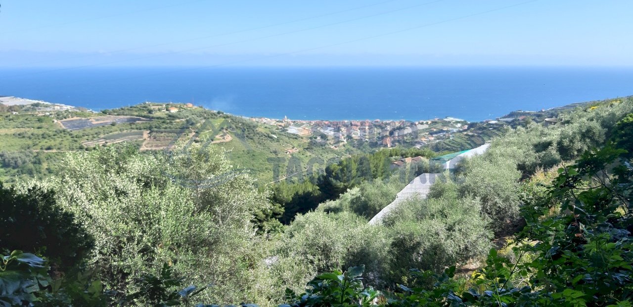 20200612_170826.jpg - Independent house Regione San Michele, Castellaro - photo 1