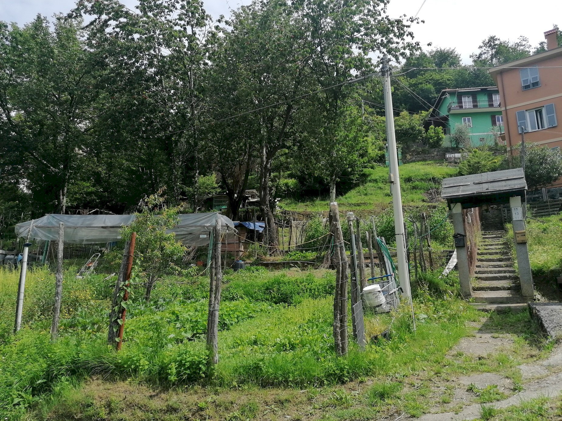 Building land Bargagli - photo 2