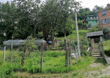 Building land Bargagli - photo 2