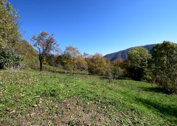 Rustic Via San Grato, Snc, Paesana - photo 7