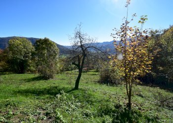 Rustic Via San Grato, Snc, Paesana - photo 18