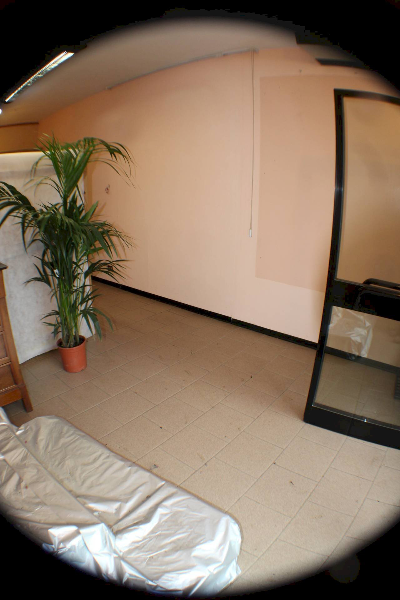 Attività Commerciale Via Provinciale Valdinievole, Altopascio - foto 2