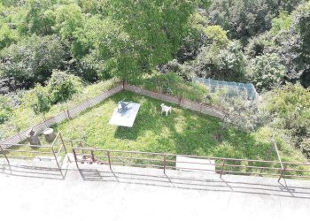 Giardino - Quadrilocale strada Tigliole, 44, Tigliole - foto 25