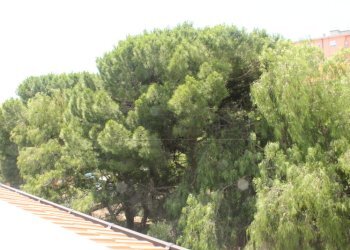 IMG_6079.JPG - Bilocale Via Aurelia 434, Loano - foto 10