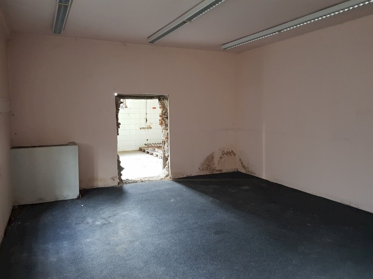 20200615_180805.jpg - Locale Commerciale Via Augusto Passaglia 198, Lucca - foto 3