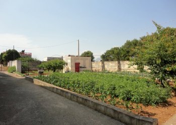 giardino.JPG - Villa Via Lecce 159, Gallipoli - foto 24