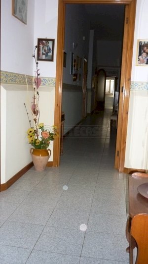 P1100203.JPG - Villa VIA V. VENETO 109, Sannicola - foto 3