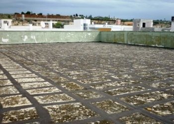 P1080491.JPG - Villa VIA PALUMBO 131, Tuglie - foto 18