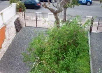 P1080416.JPG - Villa VIA DE GASPERI 33, Sannicola - foto 4