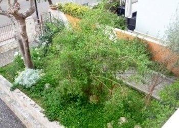 27.JPG - Villa VIA DE GASPERI 33, Sannicola - foto 30