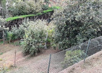 Bilocale Borgata Bussone, 23, Valgioie - foto 11