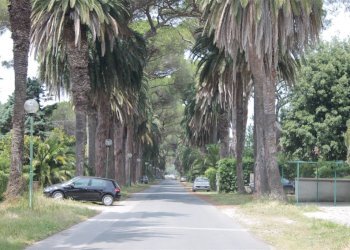 Bilocale Via Tevere 53/C, Castagneto Carducci - foto 17