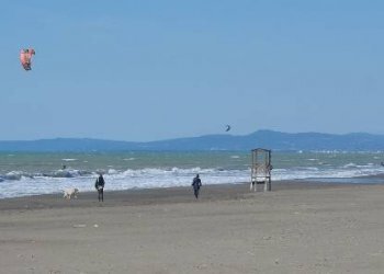 Bilocale Via Tevere 53/C, Castagneto Carducci - foto 20