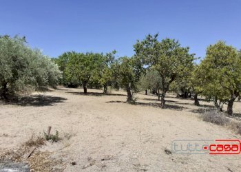 Rustic CONTRADA CUTURI, Scicli - photo 9