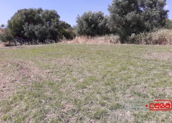 Rustic CONTRADA CUTURI, Scicli - photo 11