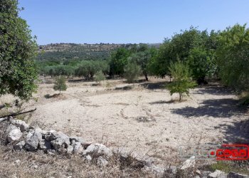 Rustic CONTRADA CUTURI, Scicli - photo 12