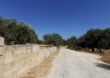 Rustic CONTRADA CUTURI, Scicli - photo 13