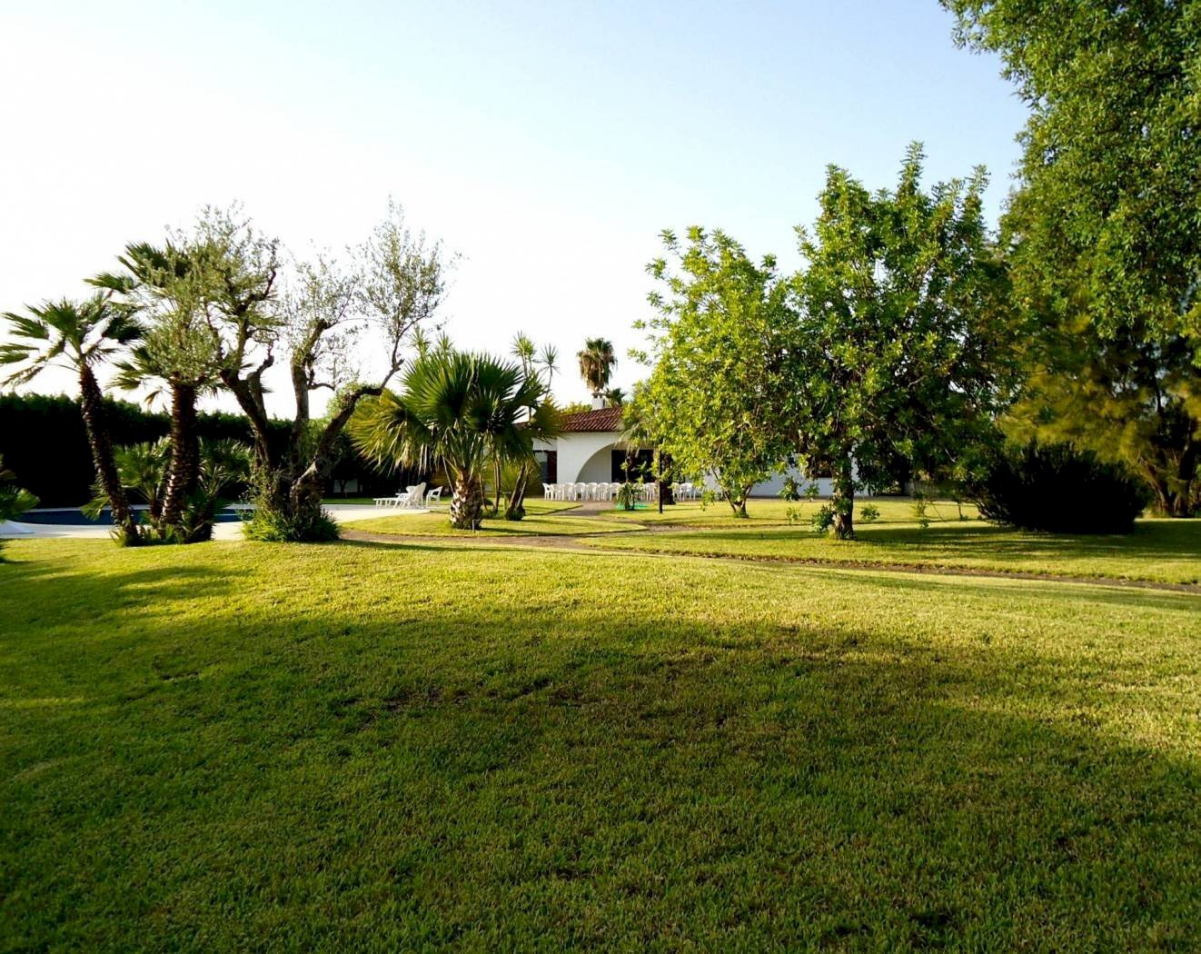 Giardino - Villa via Provinciale Gallipoli, Parabita - photo 3