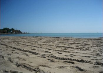 3 - Appartamento San Benedetto del Tronto - foto 4