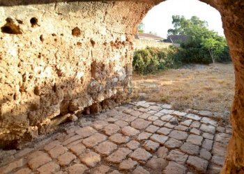 Terreno - Rustico Ruffano - foto 11