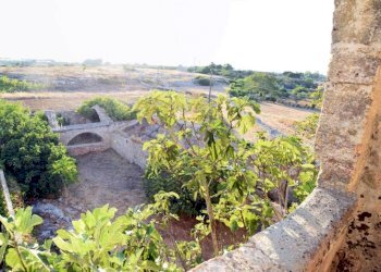 Vista - Rustico Ruffano - foto 28