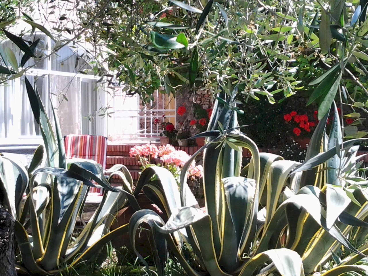 20140601_111205.jpg - Bilocale Lerici - foto 2