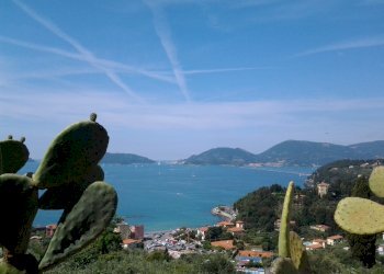 20140601_111104.jpg - Bilocale Lerici - foto 1
