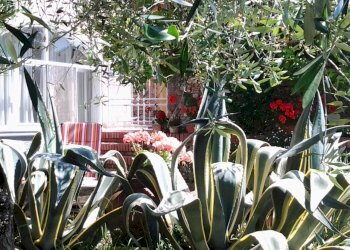 20140601_111205.jpg - Bilocale Lerici - foto 2