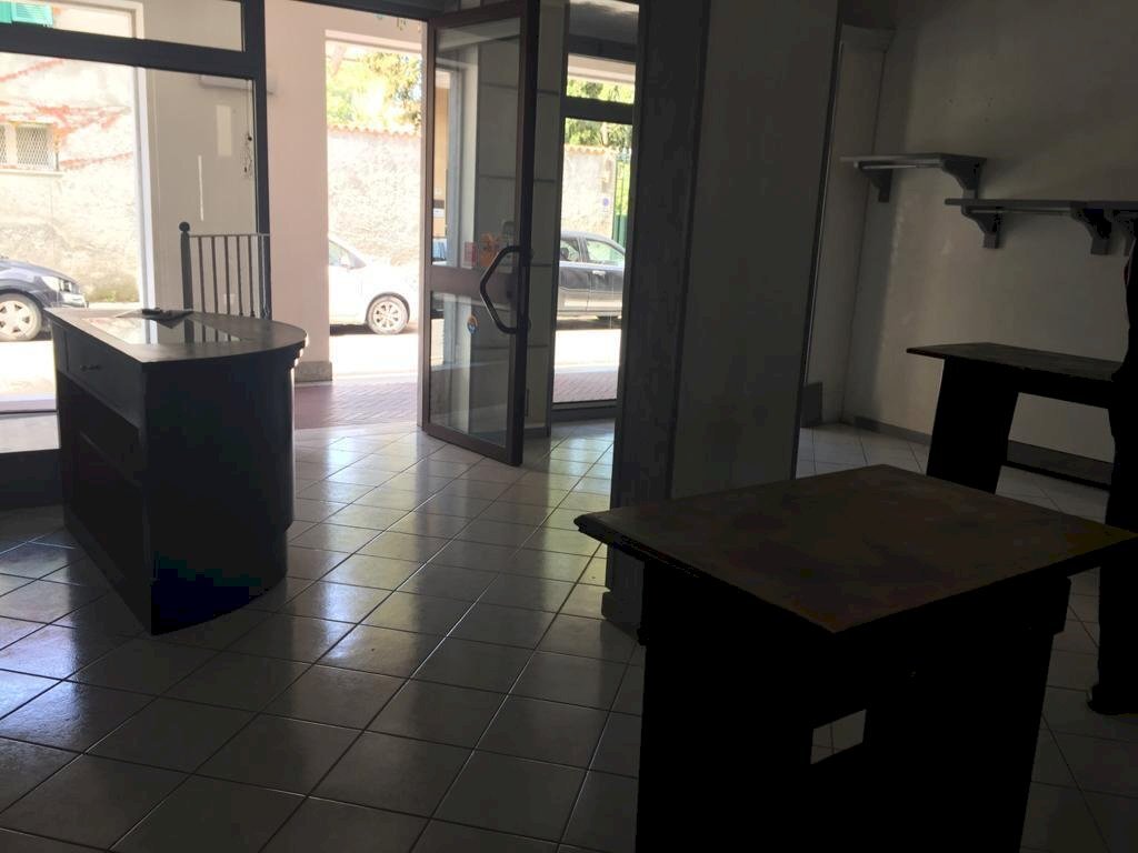 4ee279e2-42e1-4d5e-a4ab-de598d9c57ad.jpg - Shed Carrara - photo 2