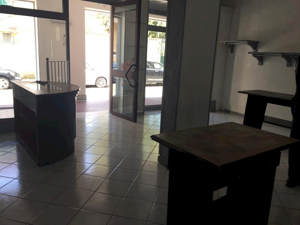 4d2145cd-ff72-4cee-9347-c67e3a6dfdf8.jpg - Shed Carrara - photo 3