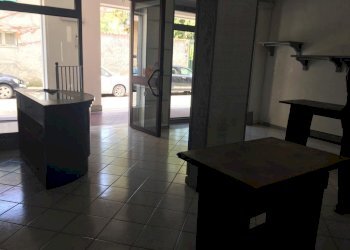 4ee279e2-42e1-4d5e-a4ab-de598d9c57ad.jpg - Shed Carrara - photo 2