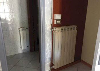 camerino - Shed Carrara - photo 8