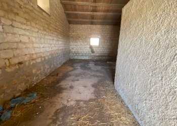 IMG_0610.jpg - Casale Via Zappulla-Santa Maria, Modica - foto 8