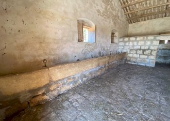 IMG_0616.jpg - Casale Via Zappulla-Santa Maria, Modica - foto 13