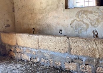 IMG_0619.jpg - Casale Via Zappulla-Santa Maria, Modica - foto 14