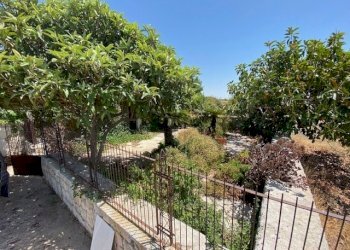 IMG_0637.jpg - Casale Via Zappulla-Santa Maria, Modica - foto 21