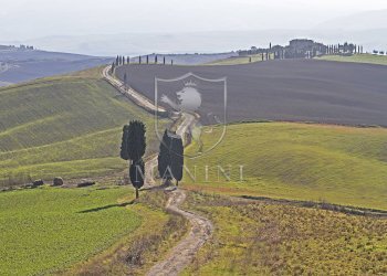 Rustico pienza, Pienza - foto 4