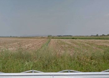 capannone - Capannone via Italia, Gorlago - foto 16