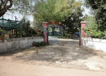 20200606115304-469576-4.jpg - Casa indipendente Contrada Gorgofreddo 229, Monopoli - foto 4