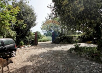 20200606115307-469576-5.jpg - Casa indipendente Contrada Gorgofreddo 229, Monopoli - foto 5