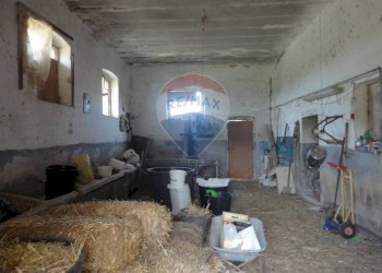 20200606115310-469576-6.jpg - Casa indipendente Contrada Gorgofreddo 229, Monopoli - foto 6