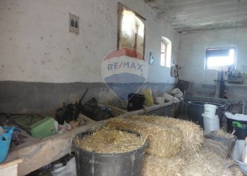 20200606115312-469576-7.jpg - Casa indipendente Contrada Gorgofreddo 229, Monopoli - foto 7