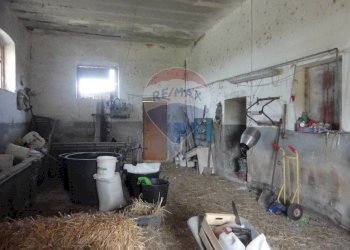 20200606115315-469576-8.jpg - Casa indipendente Contrada Gorgofreddo 229, Monopoli - foto 8