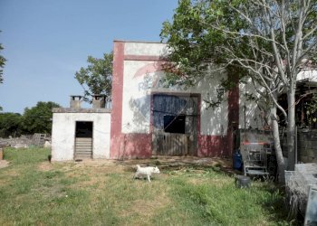 20200606115317-469576-9.jpg - Casa indipendente Contrada Gorgofreddo 229, Monopoli - foto 9