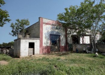 20200606115320-469576-10.jpg - Casa indipendente Contrada Gorgofreddo 229, Monopoli - foto 10