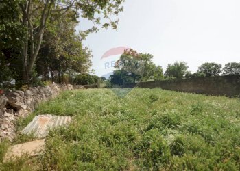 20200606115323-469576-11.jpg - Casa indipendente Contrada Gorgofreddo 229, Monopoli - foto 11