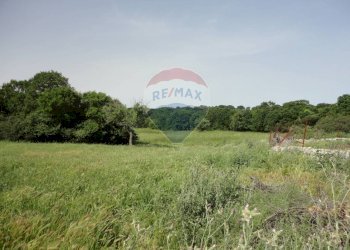 20200606115326-469576-12.jpg - Casa indipendente Contrada Gorgofreddo 229, Monopoli - foto 12